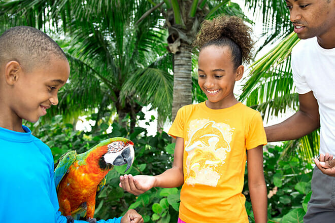 Junior Ultimate Trainer für einen Tag – Paradise Island