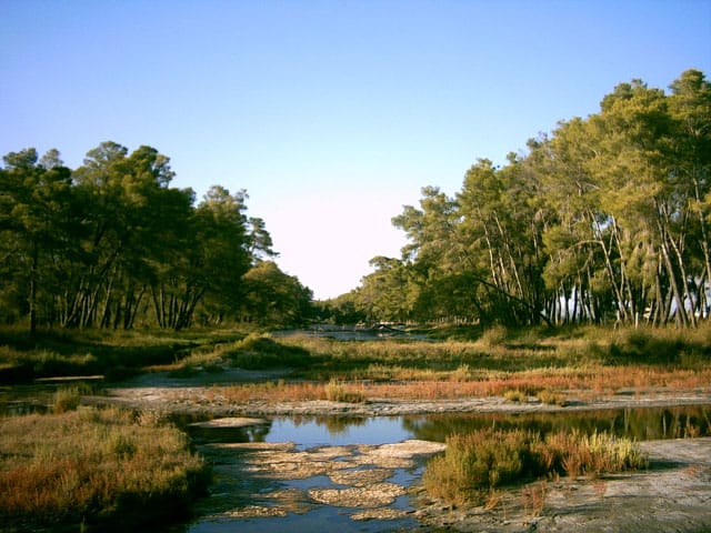 Karavasta Lagune