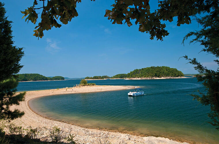 Lake Ouachita Beach – Bergkiefer