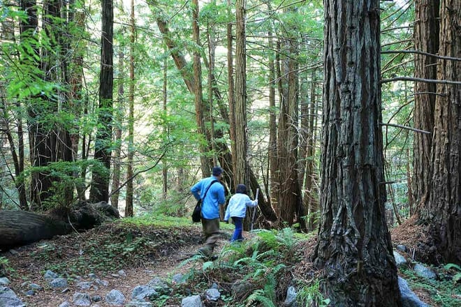 limekiln state park