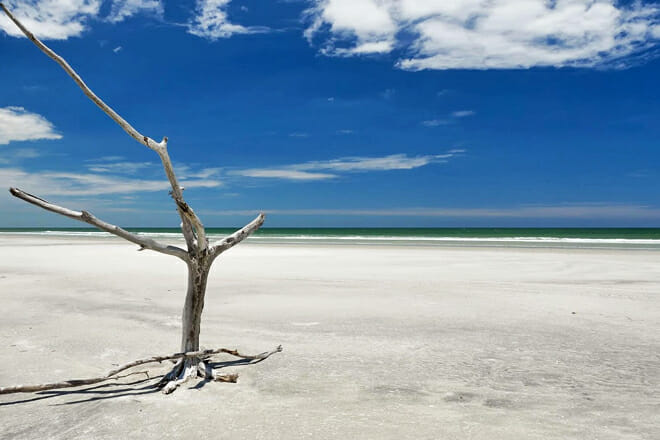 Little Talbot Island State Park