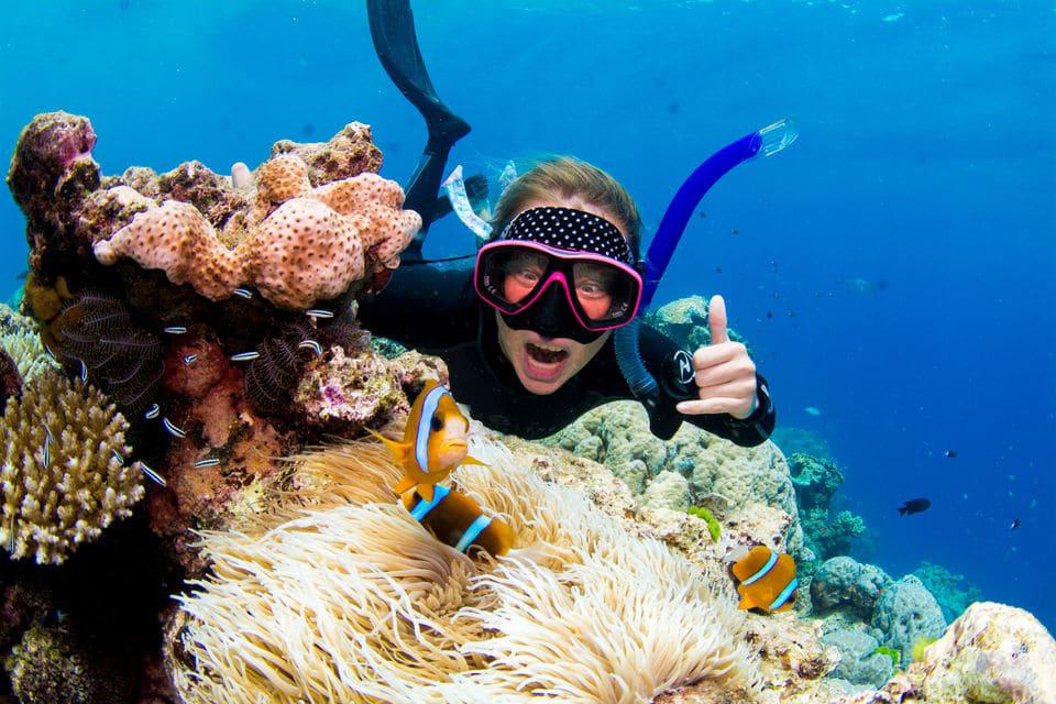 Luxus Great Barrier Reef Schnorcheltour