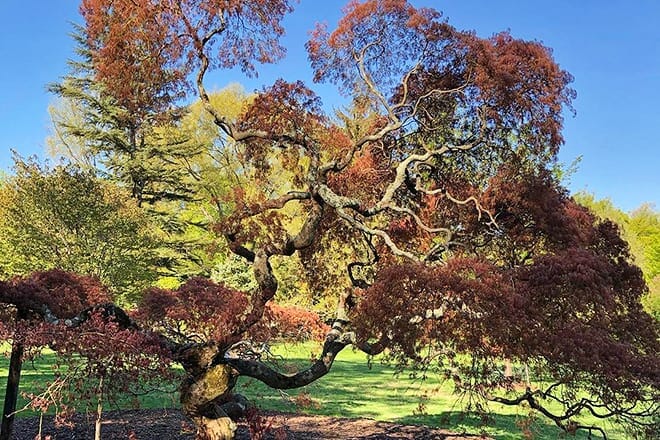 marquand park