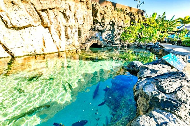 Maui Ocean Center