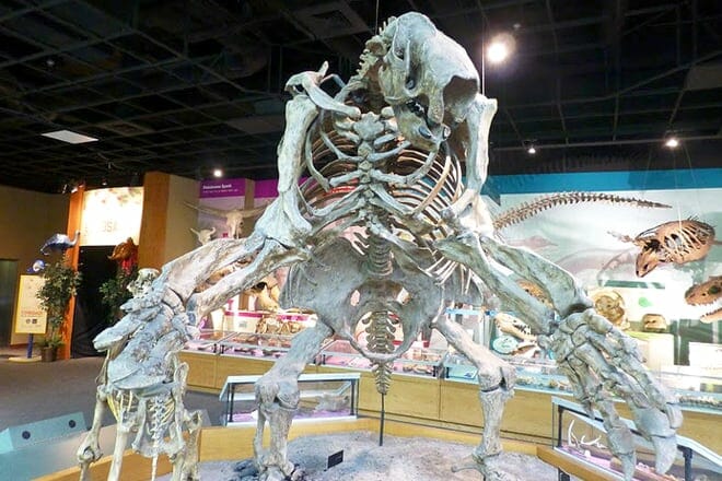 Mississippi Naturkundemuseum