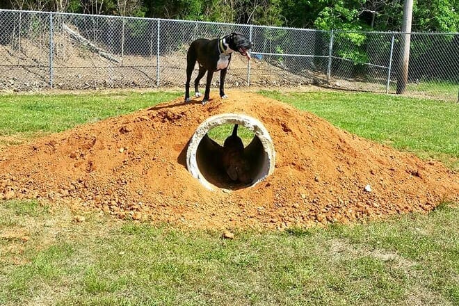 Morristown Hundepark