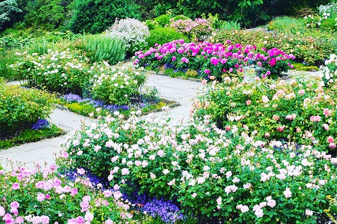 morven museum and garden