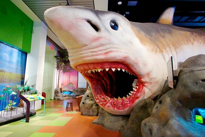 Museum der Entdeckung und Wissenschaft