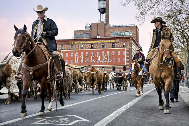 National Western Stock Show – East Denver