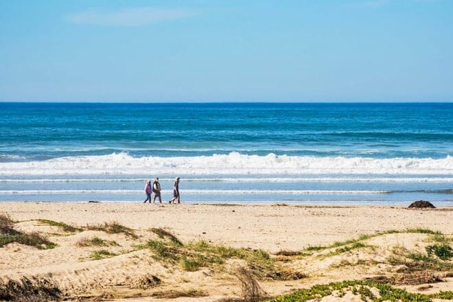 north beach — pismo state beach