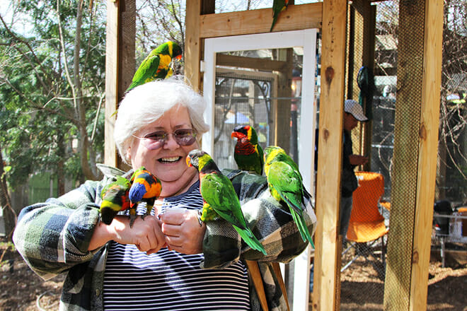 Parrot Mountain And Gardens