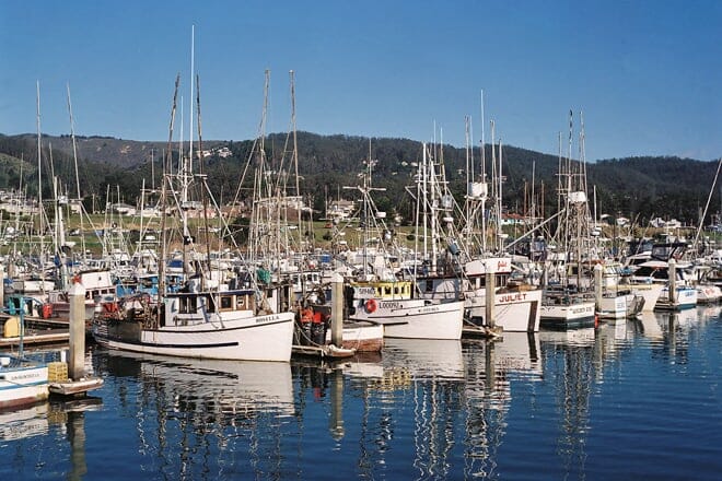 Pfeilerpunkt Hafen