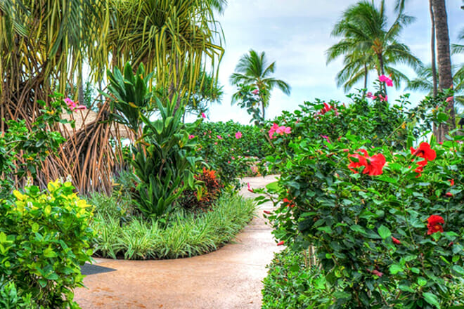 Princeville Botanical Gardens — Princeville