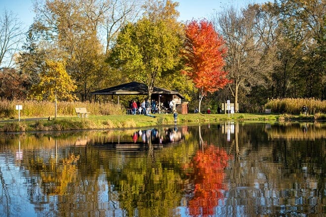 Naturzentrum Steinbruchhügel