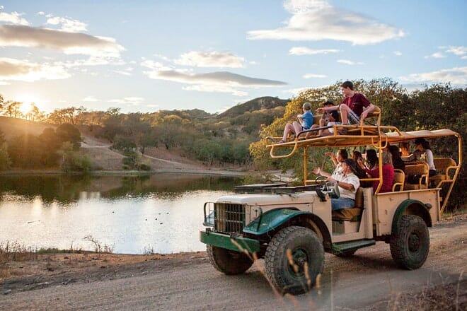 Safari nach Westen