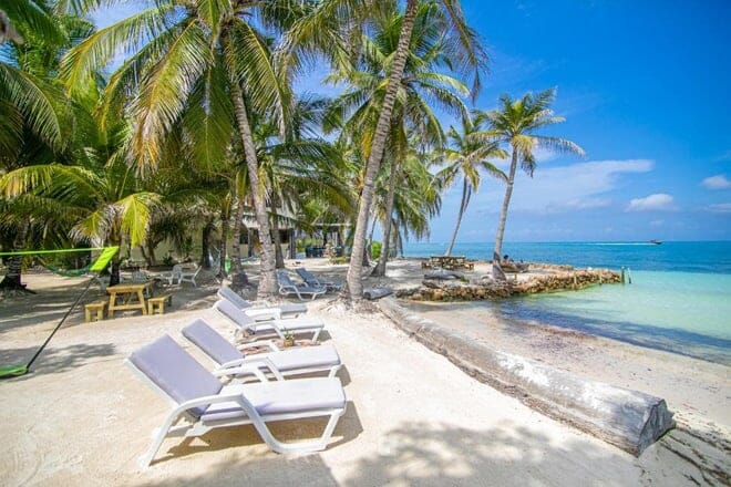 Sal Si Puedes (Insel Tintipán)