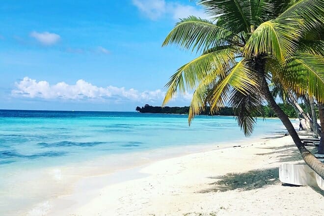 saona island