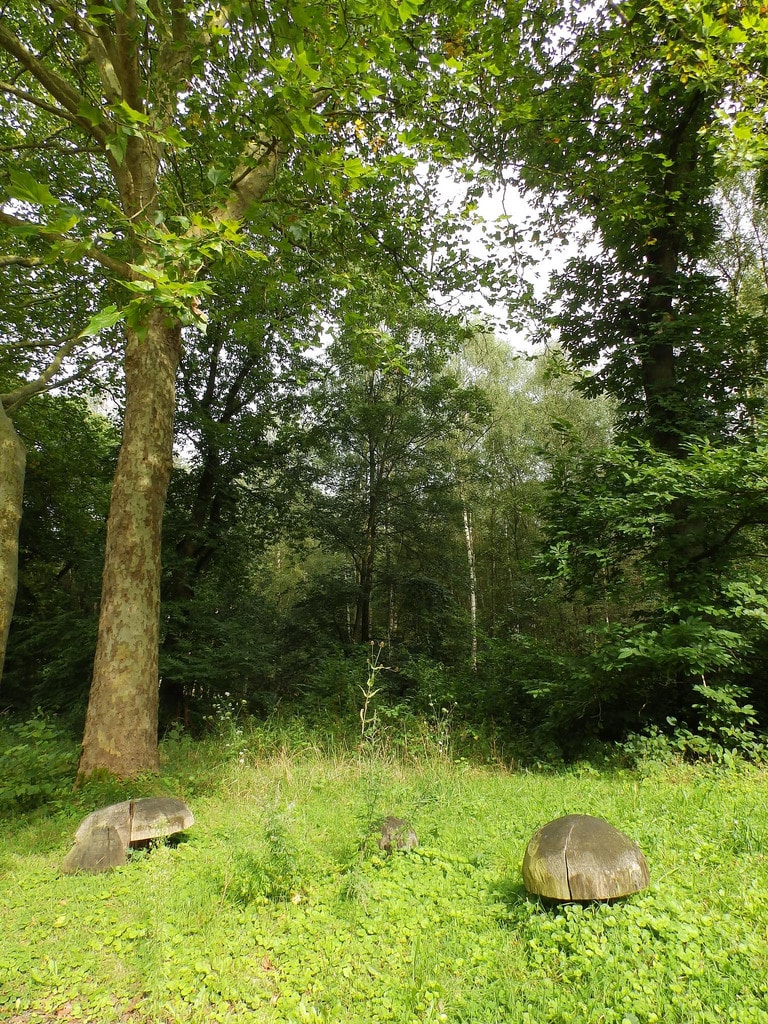 Scarpe-Escaut Regionalpark