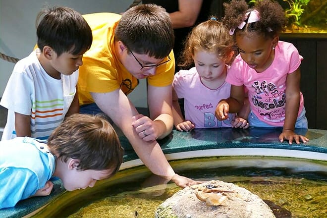 Wissenschaftsmuseum von Westvirginia