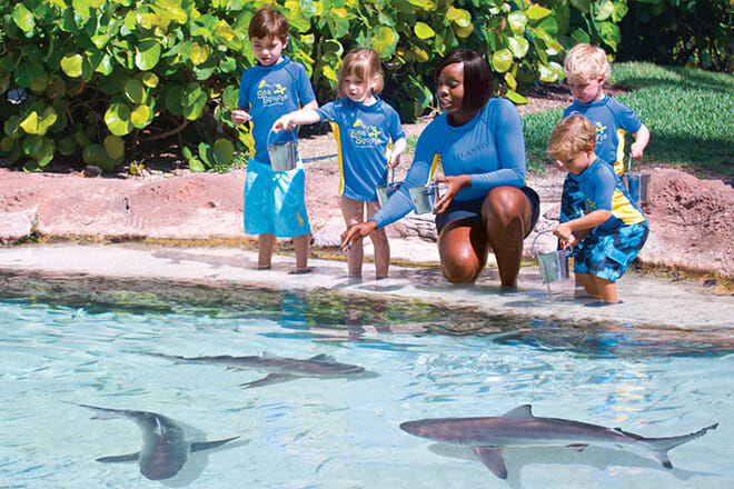 Seescheiden – Paradise Island