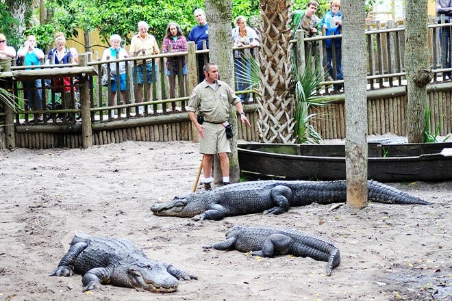 St. Augustine Alligator Farm, St.augustine
