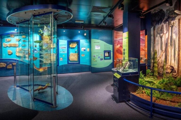 Sunderland Museum und Wintergärten
