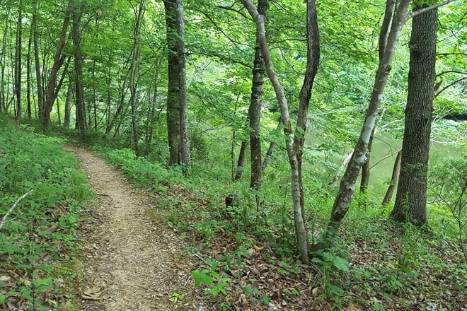 Swayback-Trails