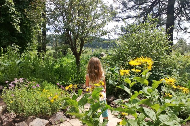 das Arboretum in Flagstaff