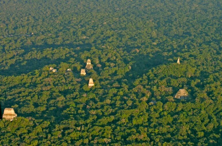 Tikal-Antenne