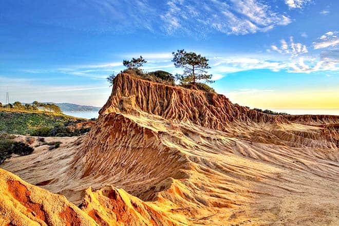 Staatliches Naturschutzgebiet Torrey Pines