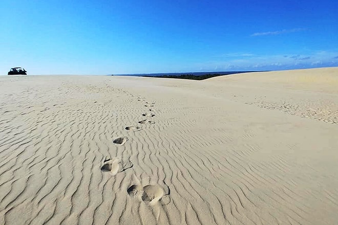 tracks in the sand