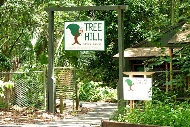 Tree Hill Naturzentrum