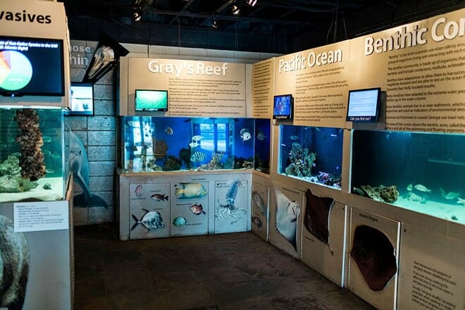 Tybee Island Marine Science Center