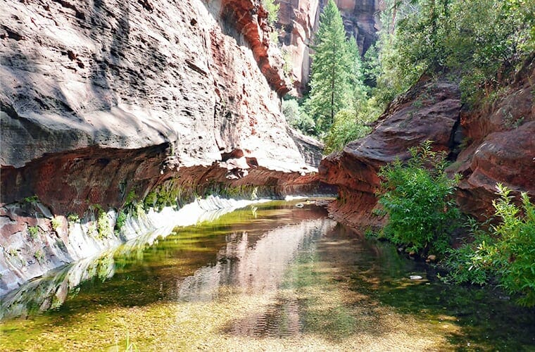 West-Fork-Trail