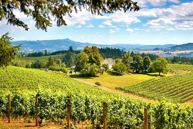 Willamette Valley Weinverkostungstour