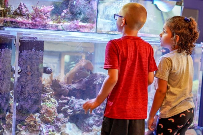 WonderLab Museum für Wissenschaft, Gesundheit und Technologie – Bloomington