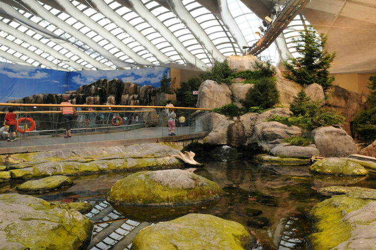 Biodom de Montréal