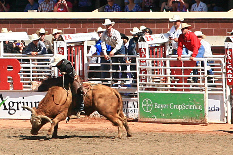 Calgary Stampede