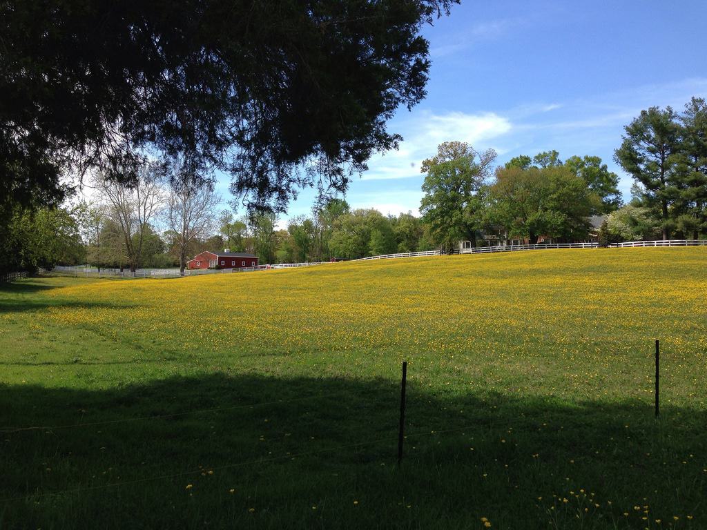 Travilah, Maryland