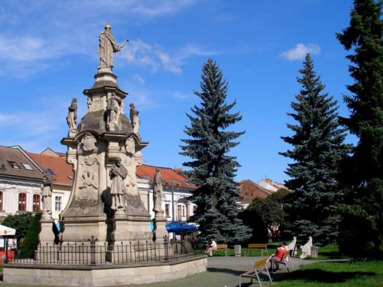 Immaculata, Presov
