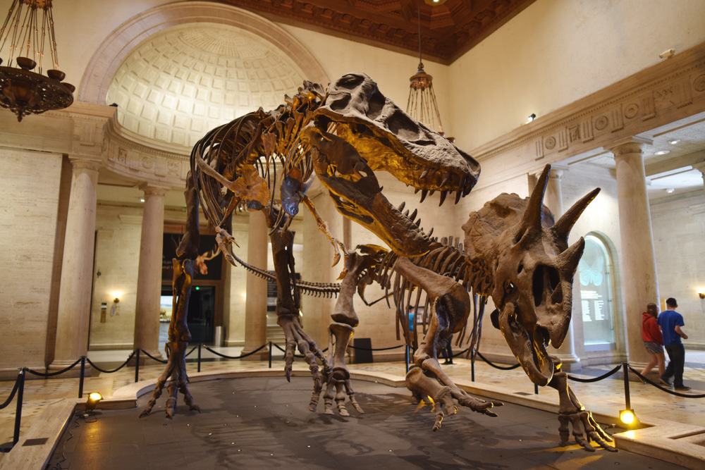 Naturhistorisches Museum von Los Angeles County