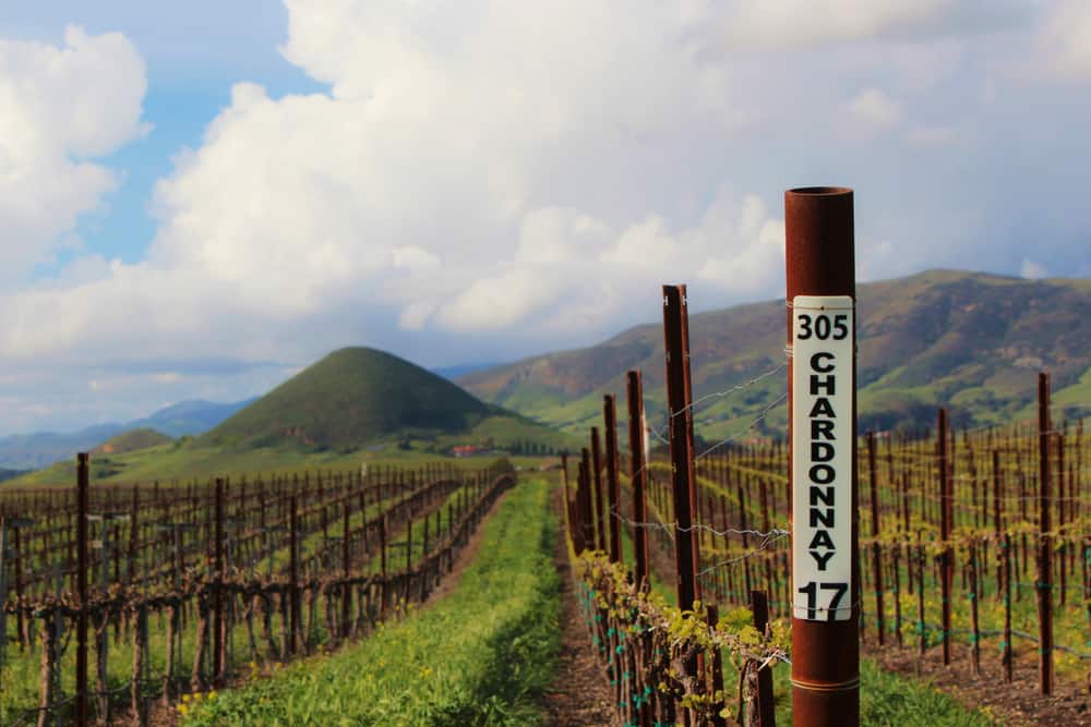 Weinregion San Luis Obispo