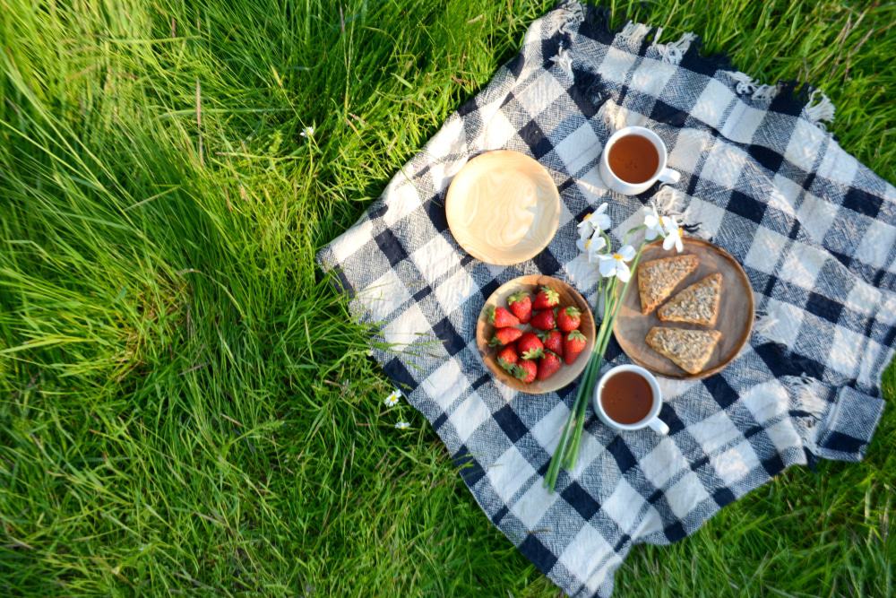 Picknick im Park