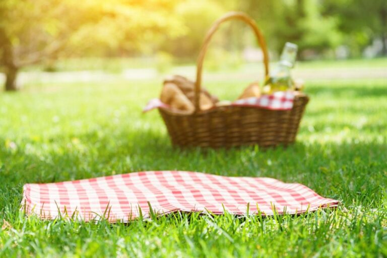 Picknick im Park