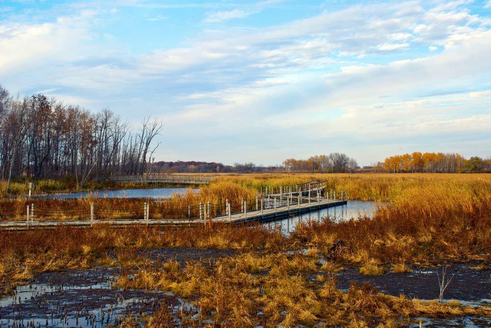 Horicon Marsh, Wisconsin