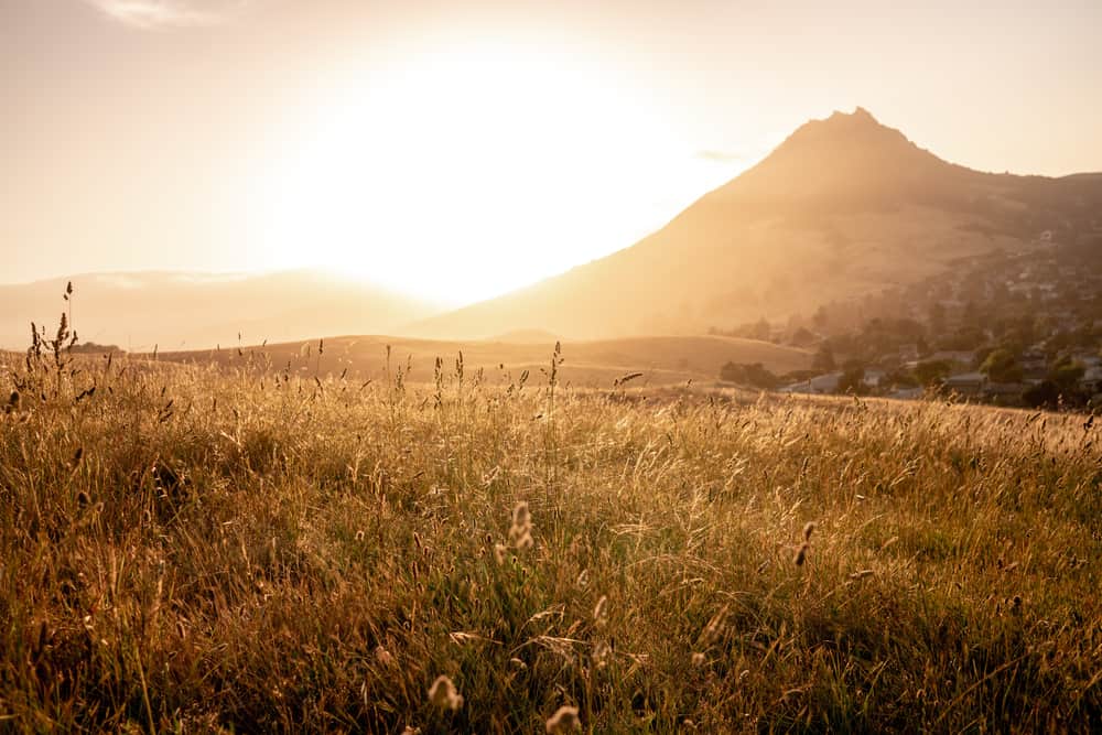 Bishop's Peak