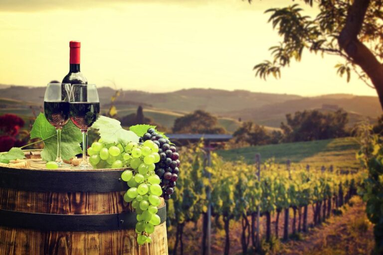 Wein der Toskana