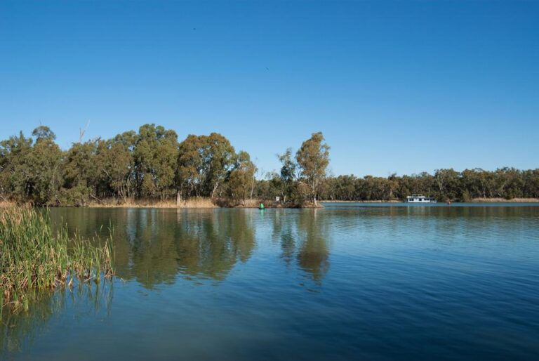 Darling River Run