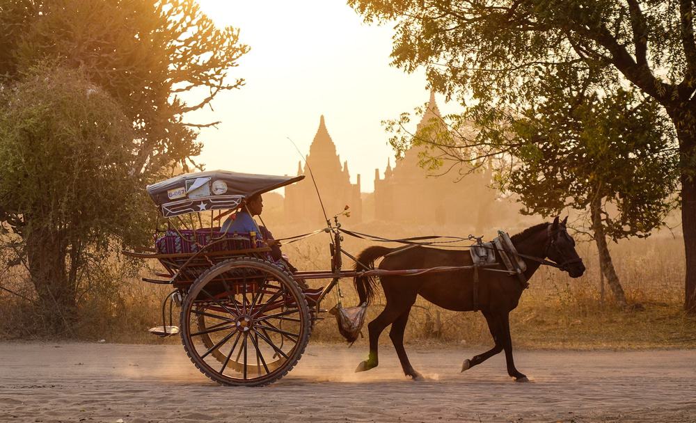 Pferdewagen Myanmar