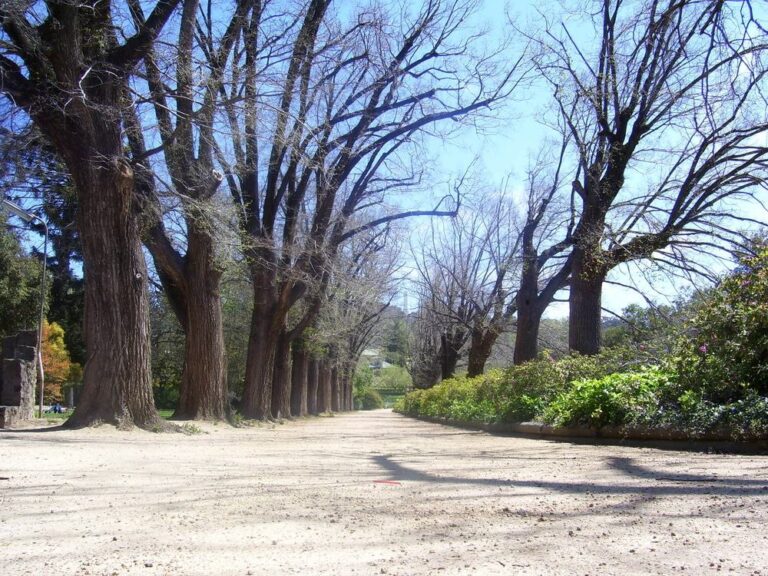 Albury Botanic Gardens